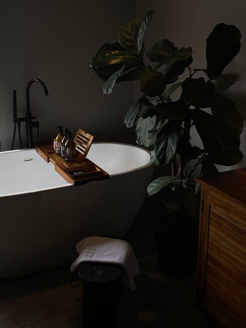 Stylish bathroom featuring a bathtub with bath board and lush plant decor.
