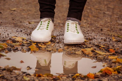 Legs of Person Standing over Puddle on Ground