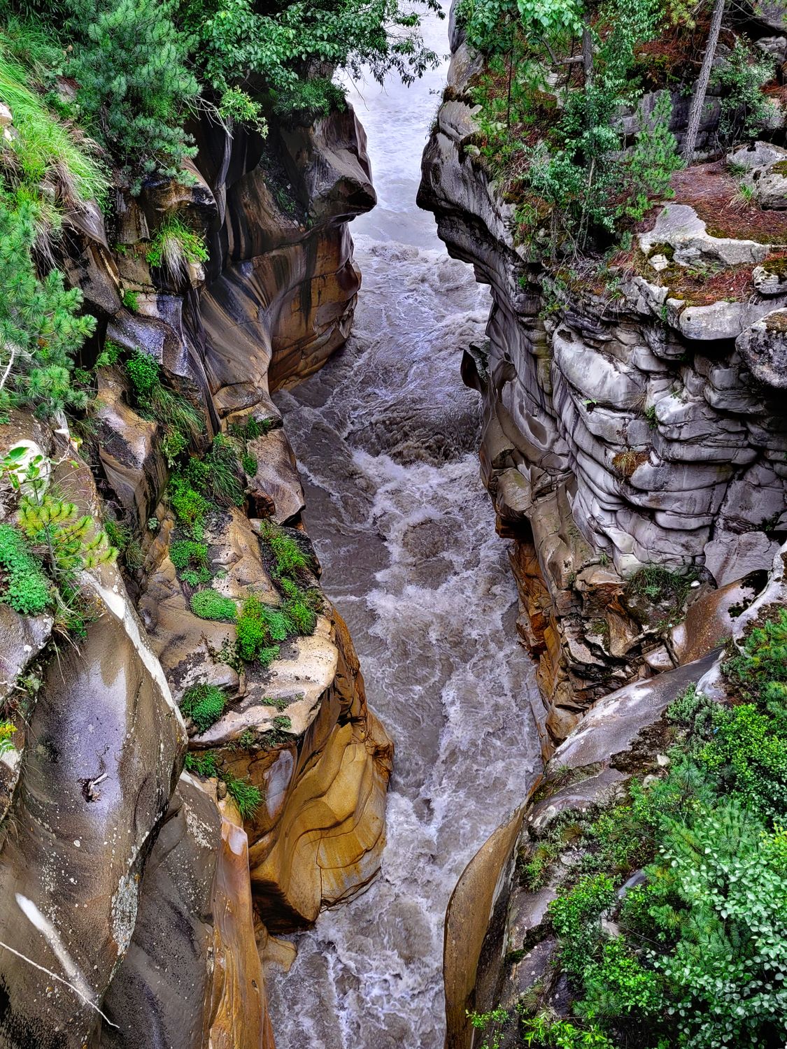 ganga, gangotri, 강, 강 수로, 강 흐름, 강둑, 강물, 개울, 경치, 경치가 좋은, 골짜기, 급한 물, 길들이지 ...