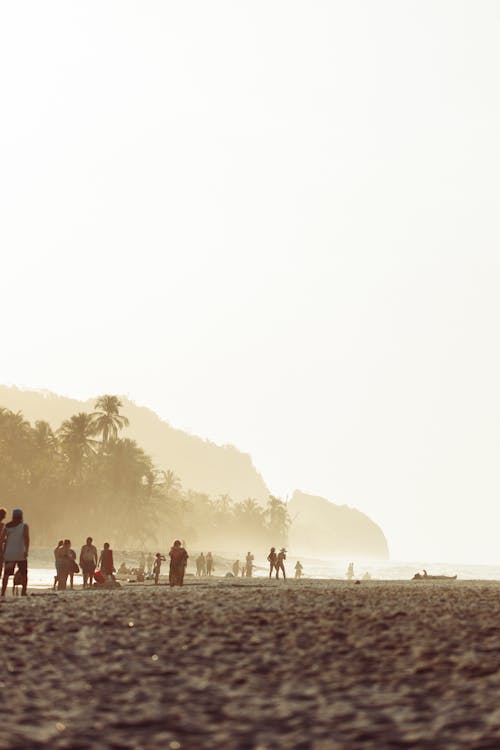beachlover, 夏天背景, 模糊 的 免費圖庫相片