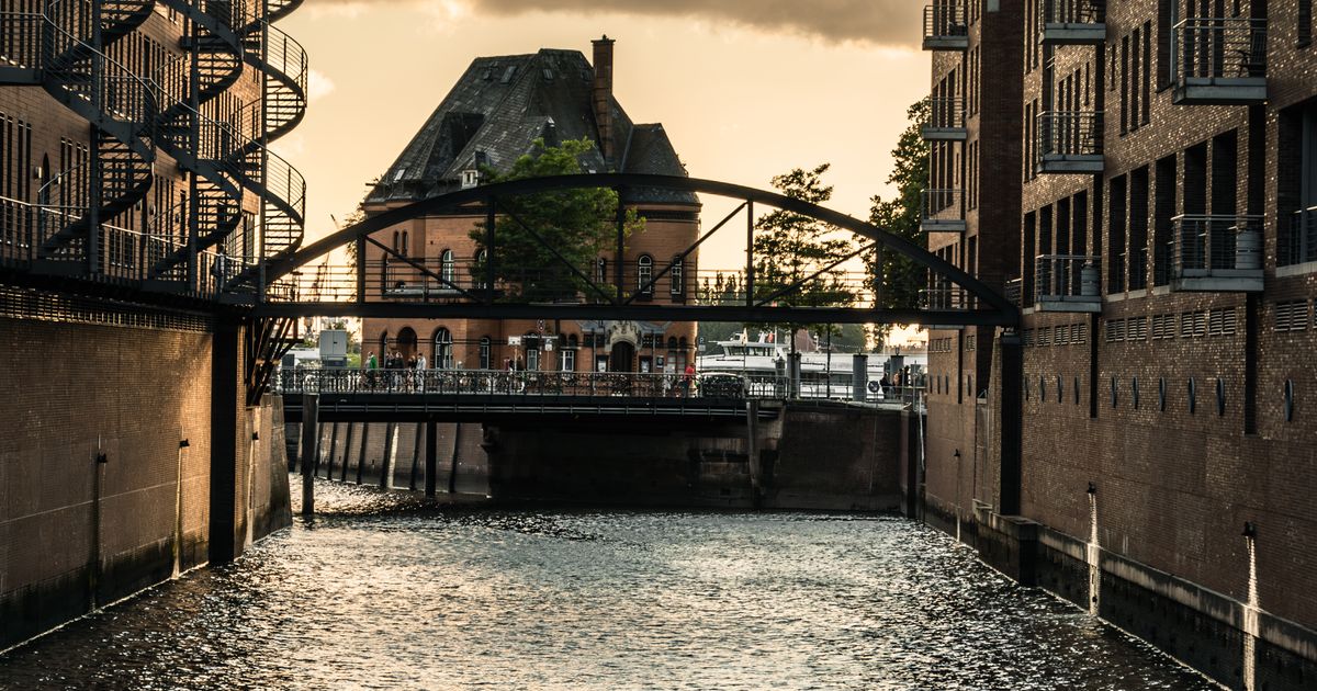 Hamburg mit Hund im Herbst 2026: Spaziergänge, Auslaufzonen & Regentage-Tipps