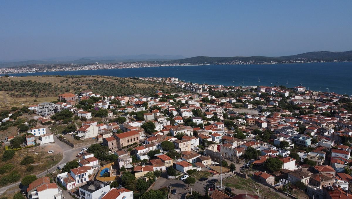 İzmir Havalimanından Ayvalık'a ulaşım — Mercedes-Vito ile özel transfer