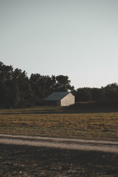 Barn in Countryside near Forest