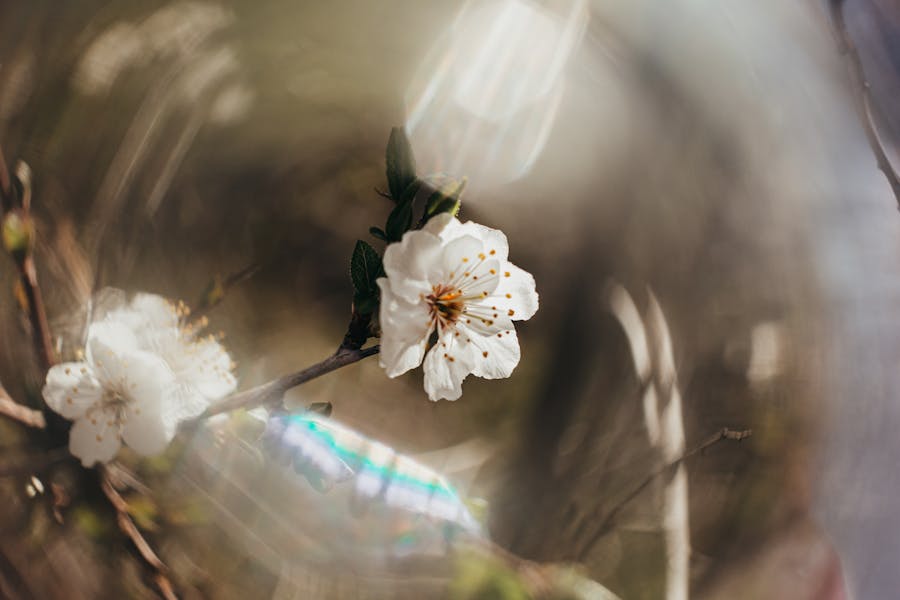 Эстетика - Страница 2 Pexels-photo-18253842