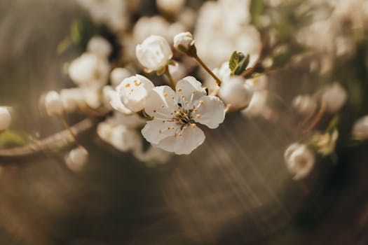 Image by Kristina Paul