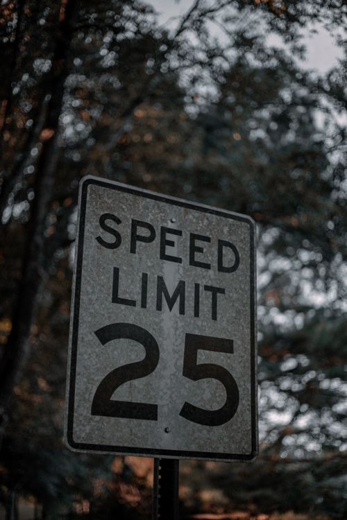 Free Close-up of a 25 mph speed limit sign in a forested area with selective focus. Stock Photo