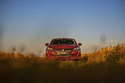 arabalar, buğday, carpathians içeren Ücretsiz stok fotoğraf
