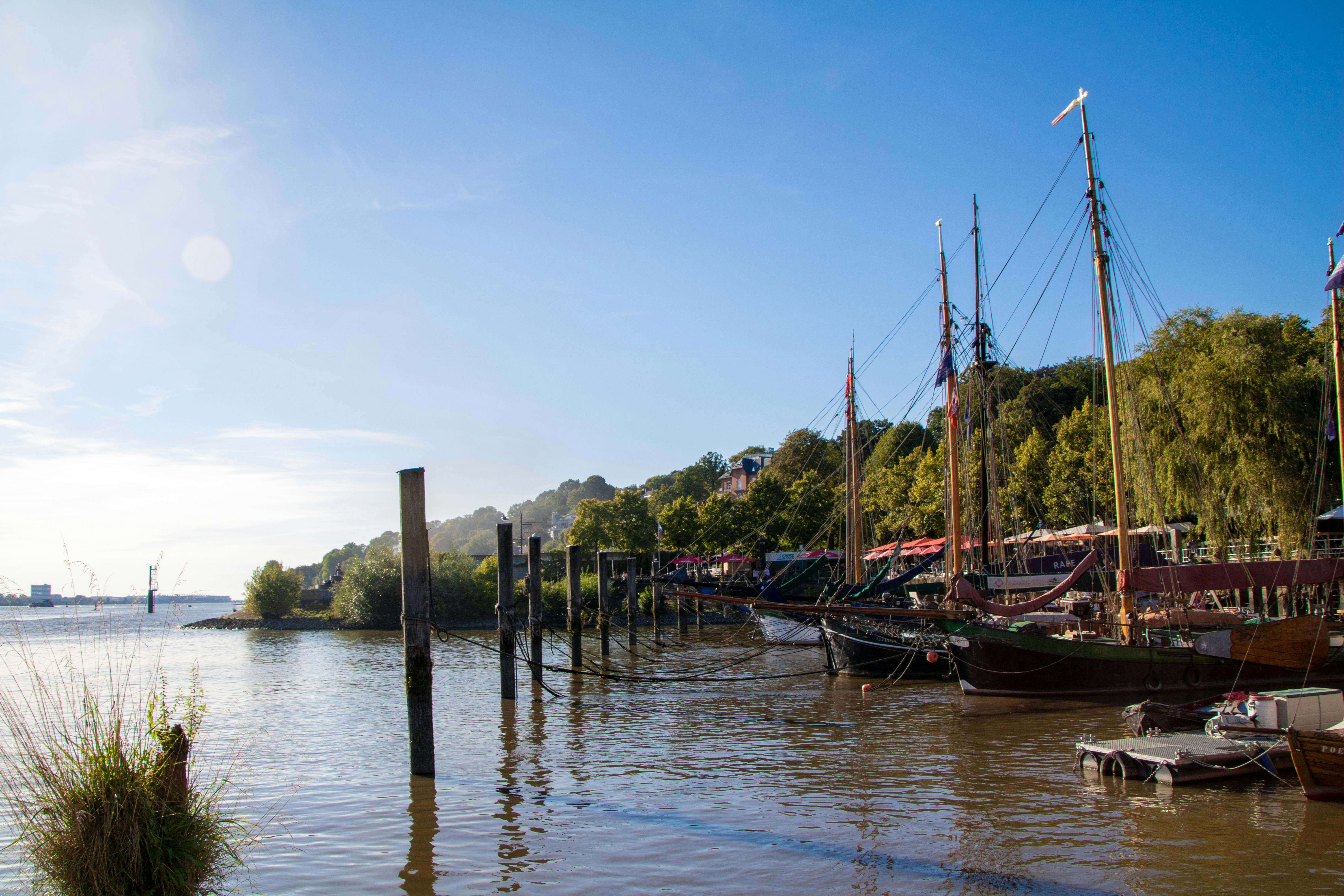 Sailboats Anchored in Harbor · Free Stock Photo