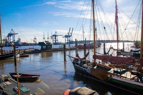 Cranes in Hamburg Harbor