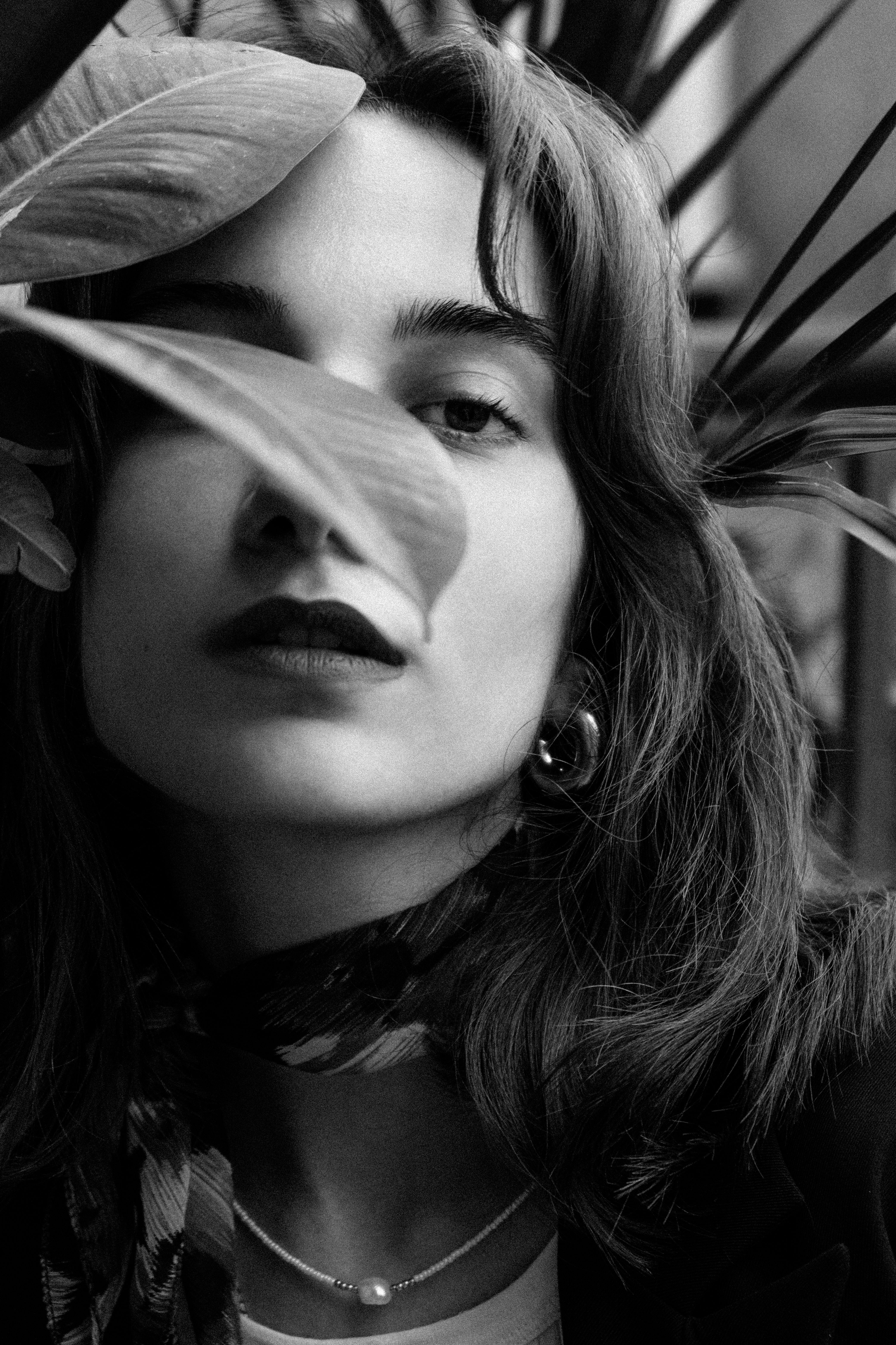 Portrait of Brunette Woman in Black and White · Free Stock Photo