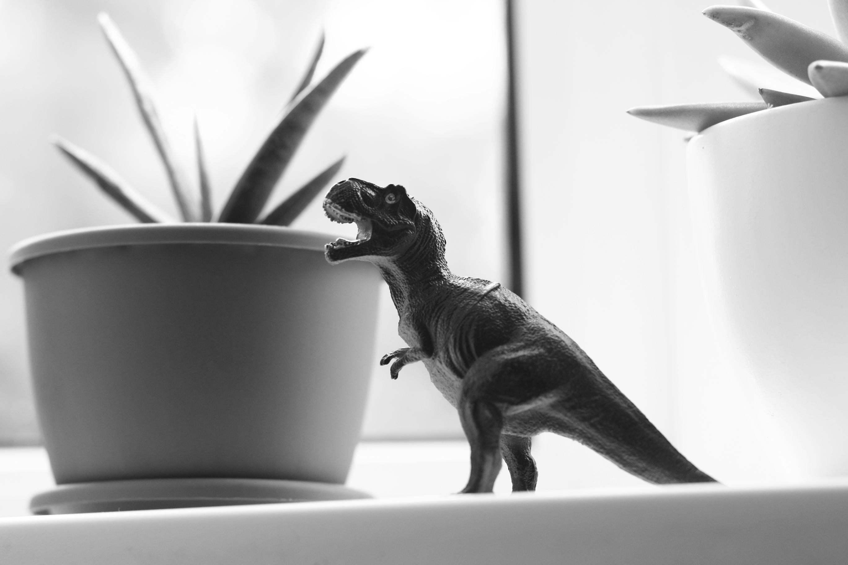 The Dinosaur Parenting Secret That Could Change Everything We Know About the Mesozoic — Photo by Сослан on Pexels