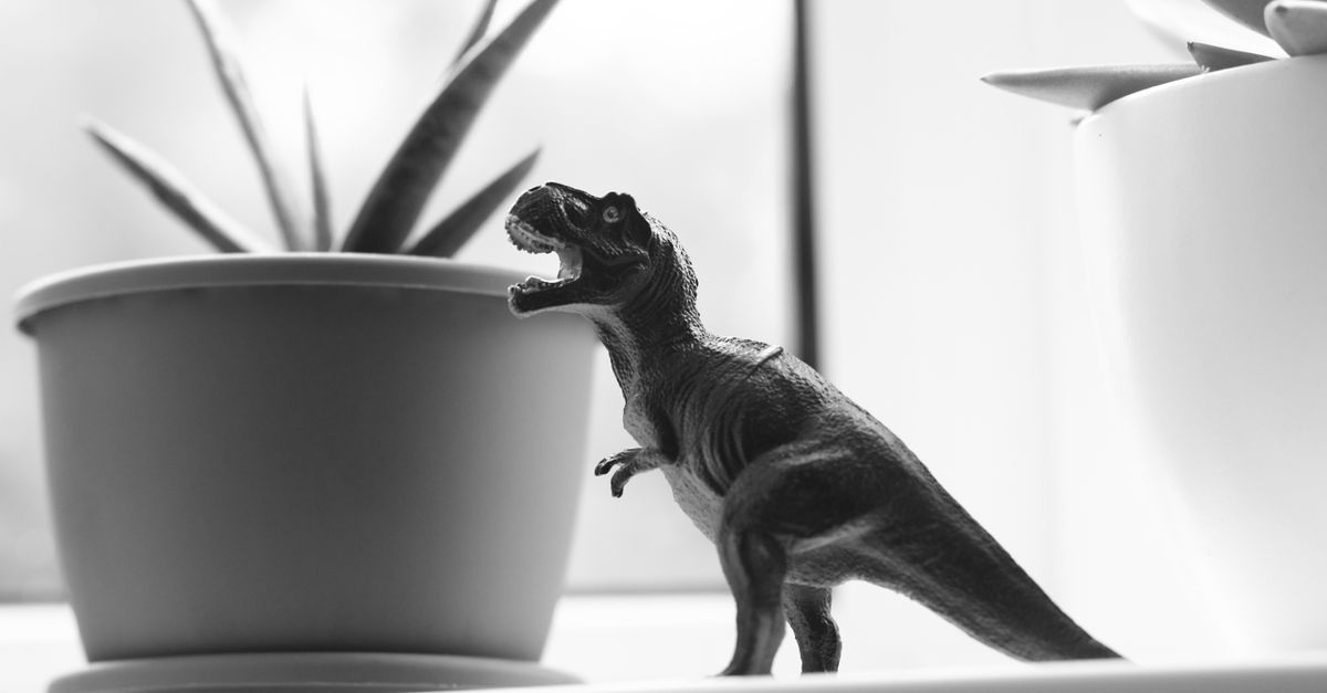 Tyrannosaurus rex internal temperature measured from fossilized teeth analysis Tyrannosaurus rex internal temperature measured from fossilized teeth analysis