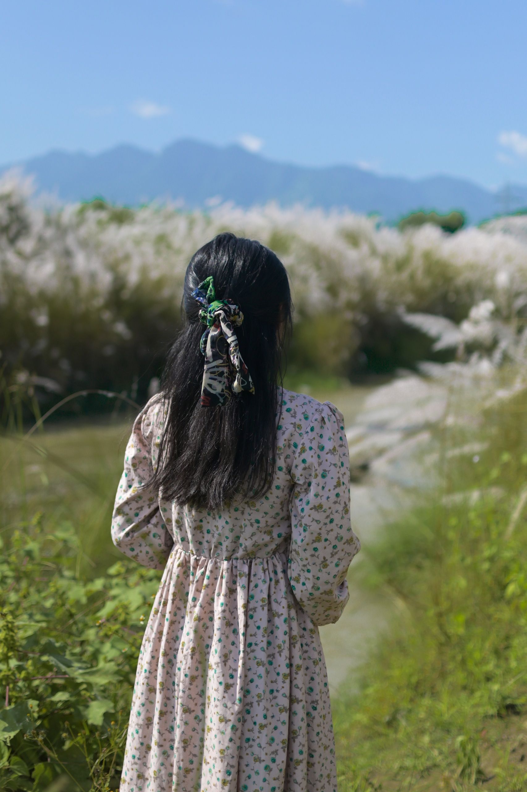 Woman in a Floral Dress Standing in a Meadow · Free Stock Photo