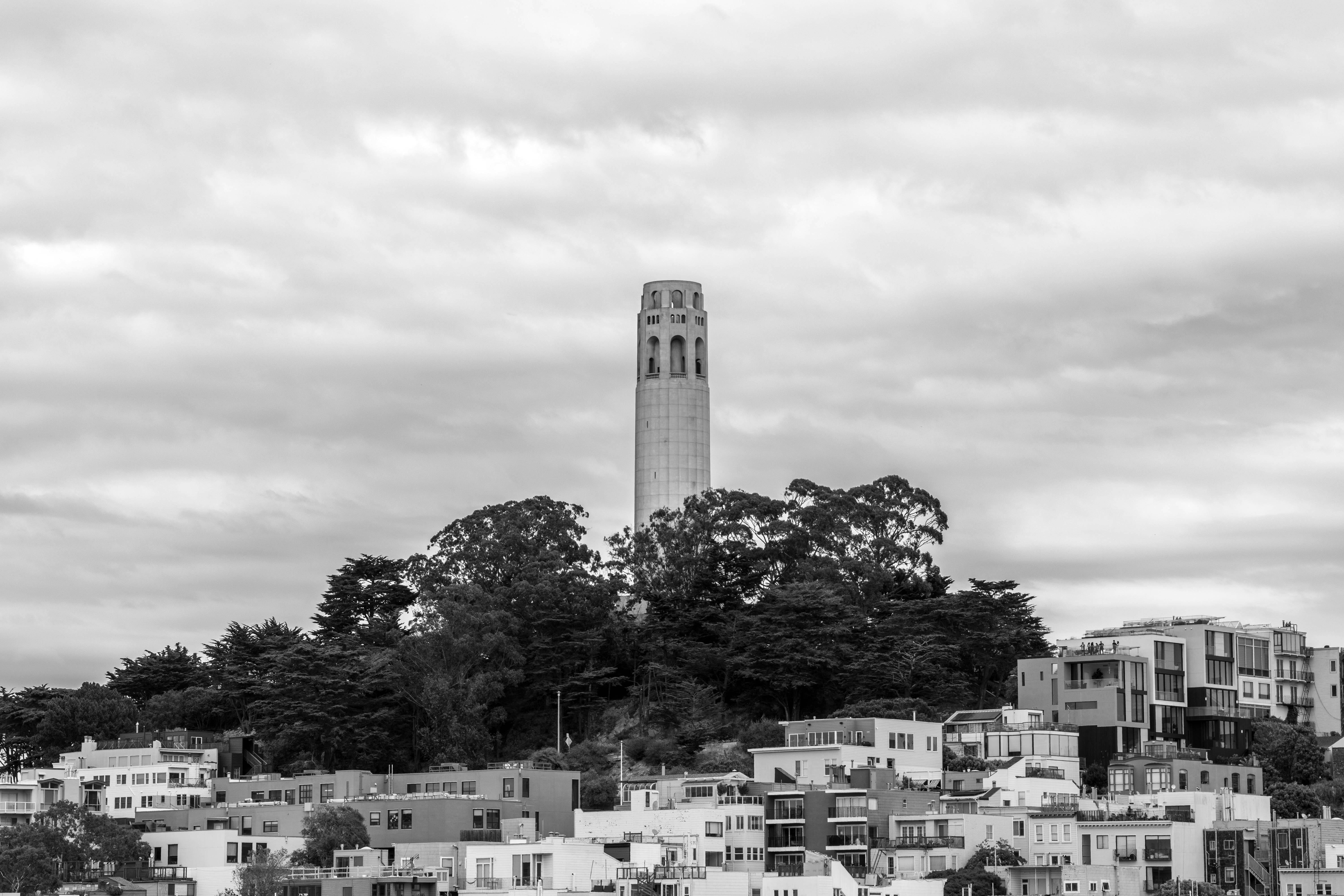 States Zive Photos Download The BEST Free States Zive Stock Photos States Zive Photos Download The BEST Free States Zive Stock Photos