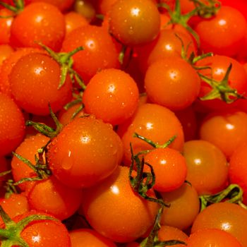Cherry Tomatoes
