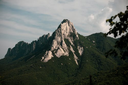 ロッキー, 夏, 山岳の無料の写真素材