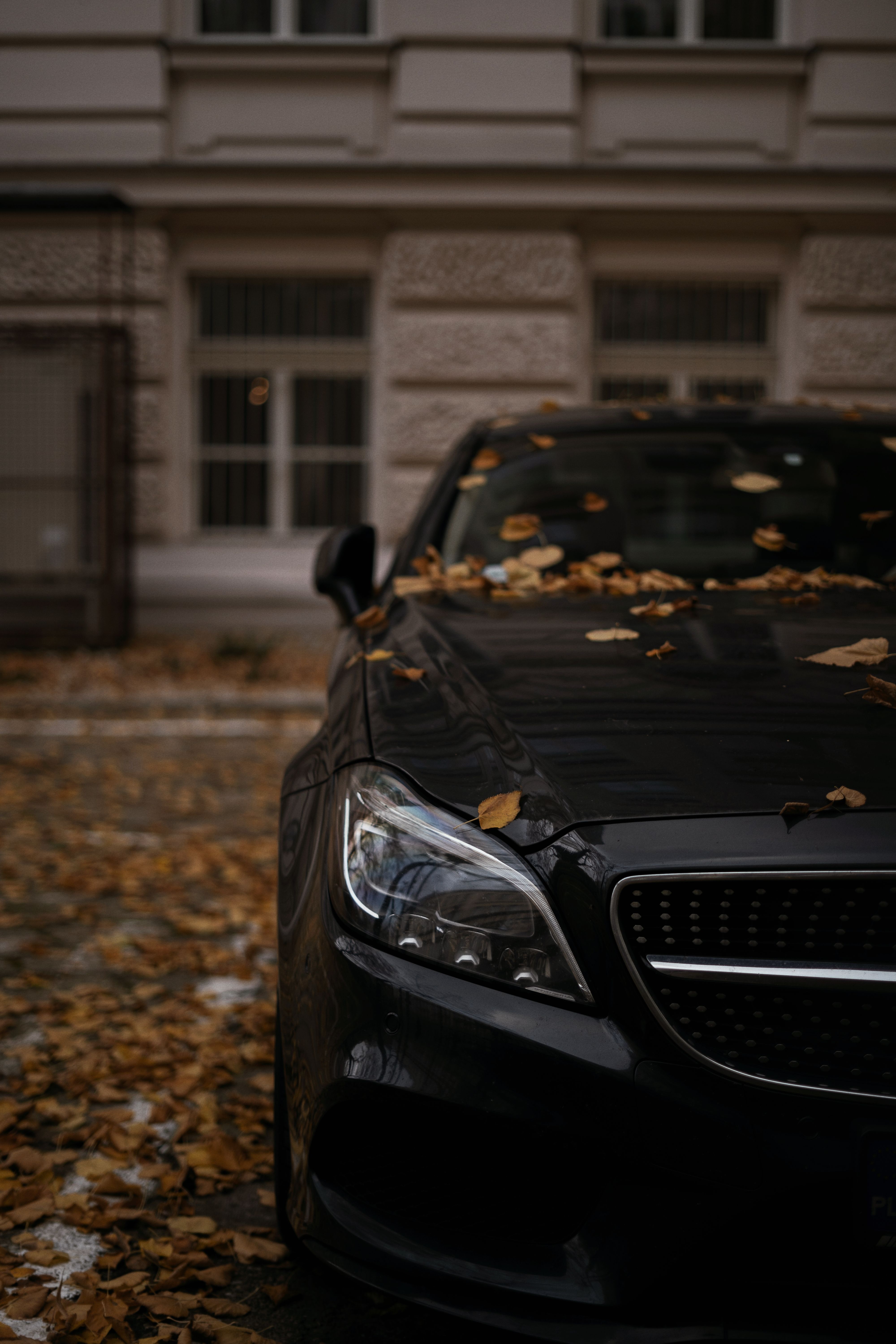 Modern Black Car on Fall Street · Free Stock Photo