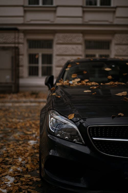 Modern Black Car on Fall Street