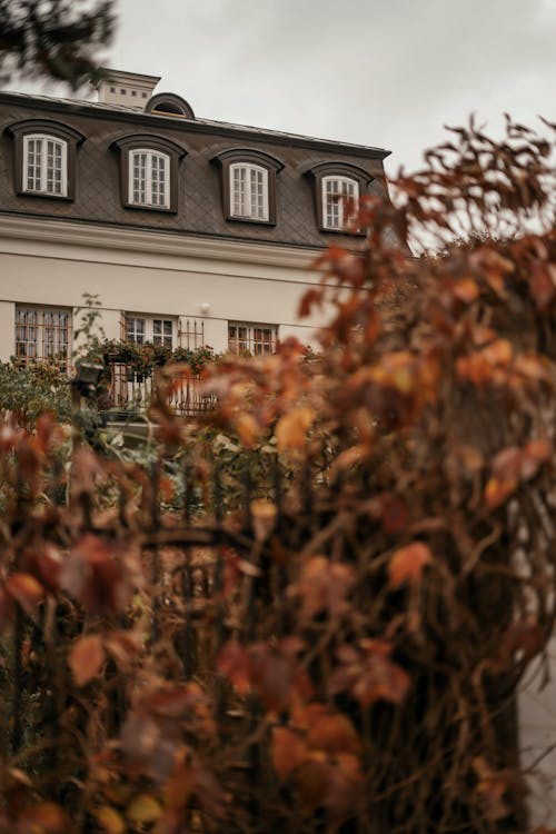 Ekim, güz, Varşova içeren Ücretsiz stok fotoğraf