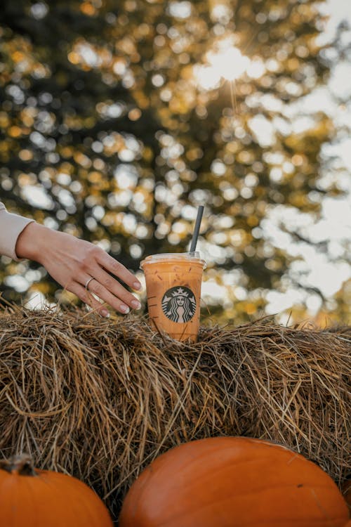 Woman Hand Taking Takeaway Cup from Hay