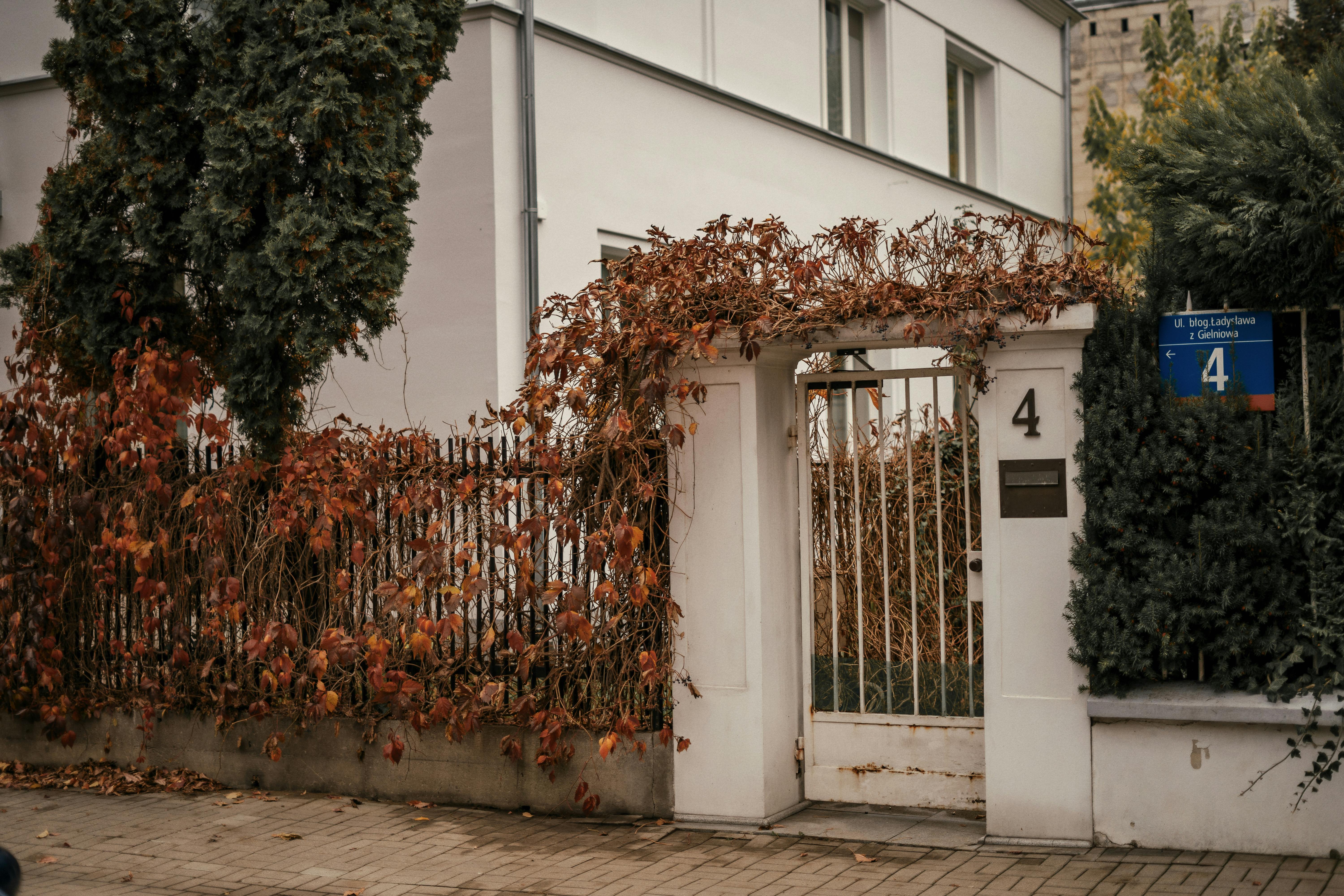 gated residential neighborhood street trees