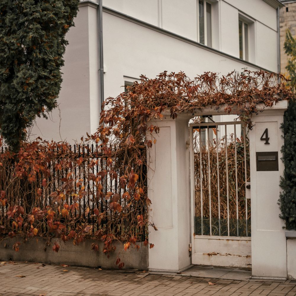 Fence and Decking Painting in Feltham — careful masking before painting begins
