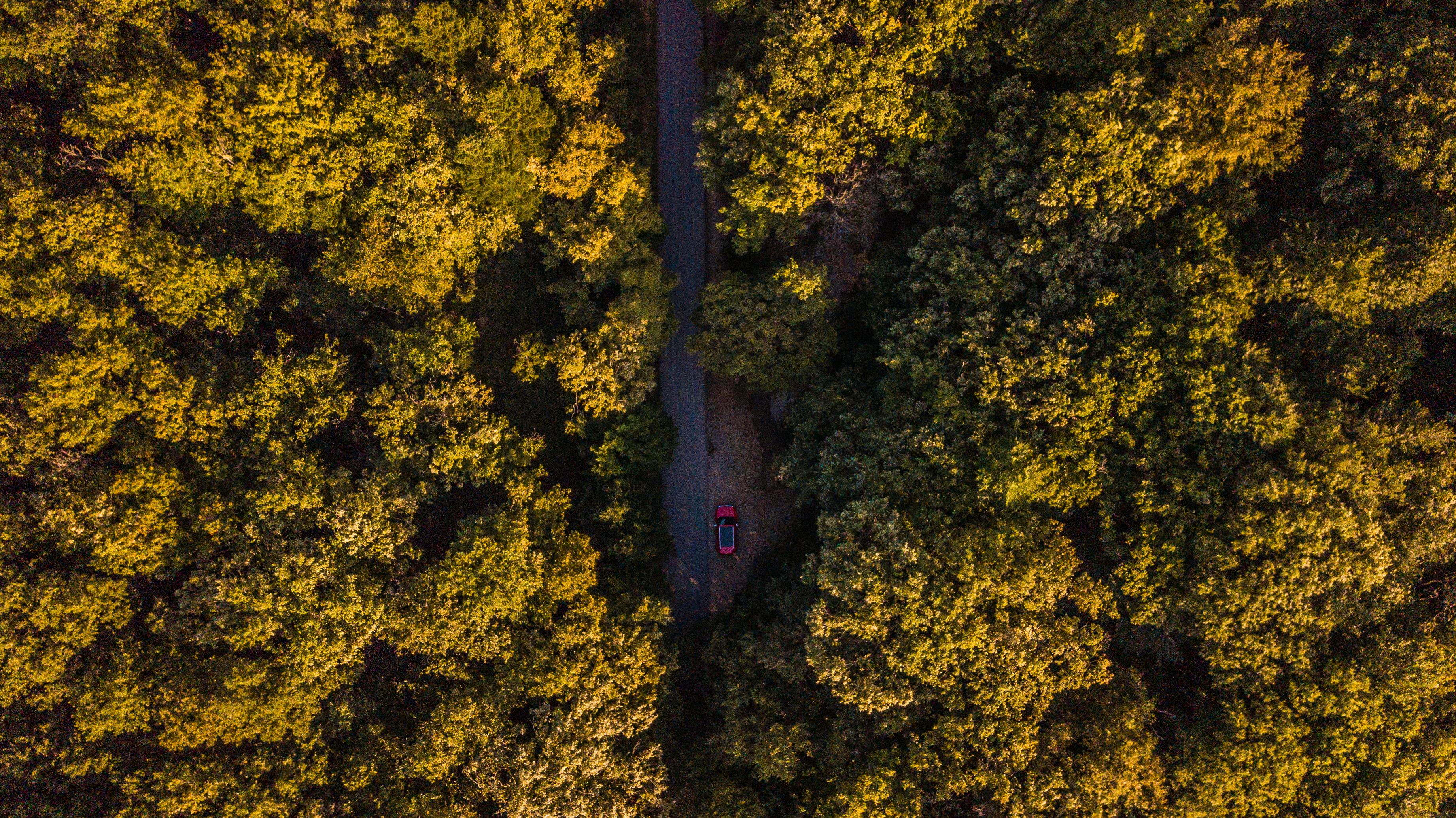 evs explained sustainability — Photo by Mo Eid on Pexels