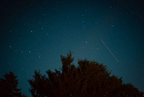 Free Beautiful starry night sky with tree silhouette and light trail. Stock Photo