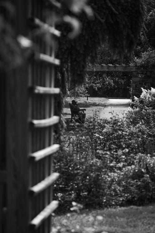 Free Peaceful scene of a person sitting on a bench in a grayscale park setting. Stock Photo