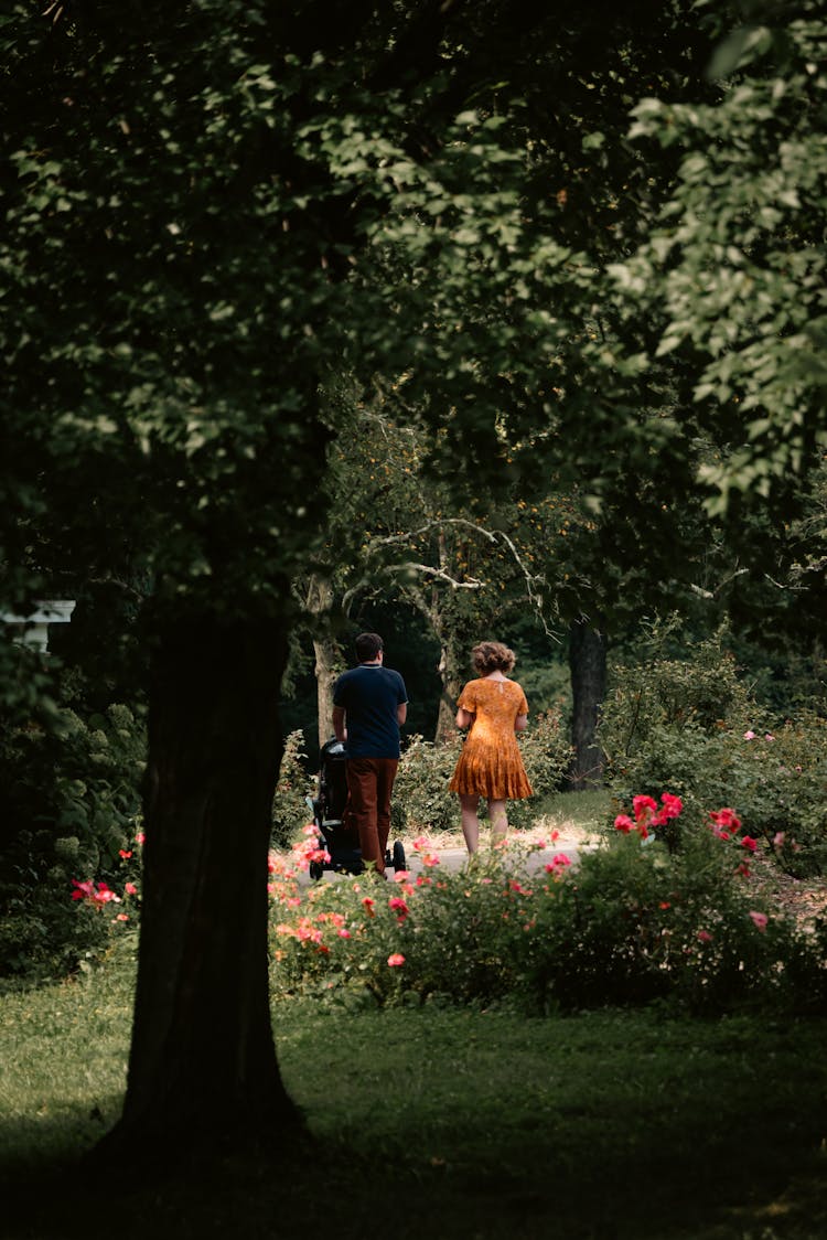 Couple Walking In A Park 