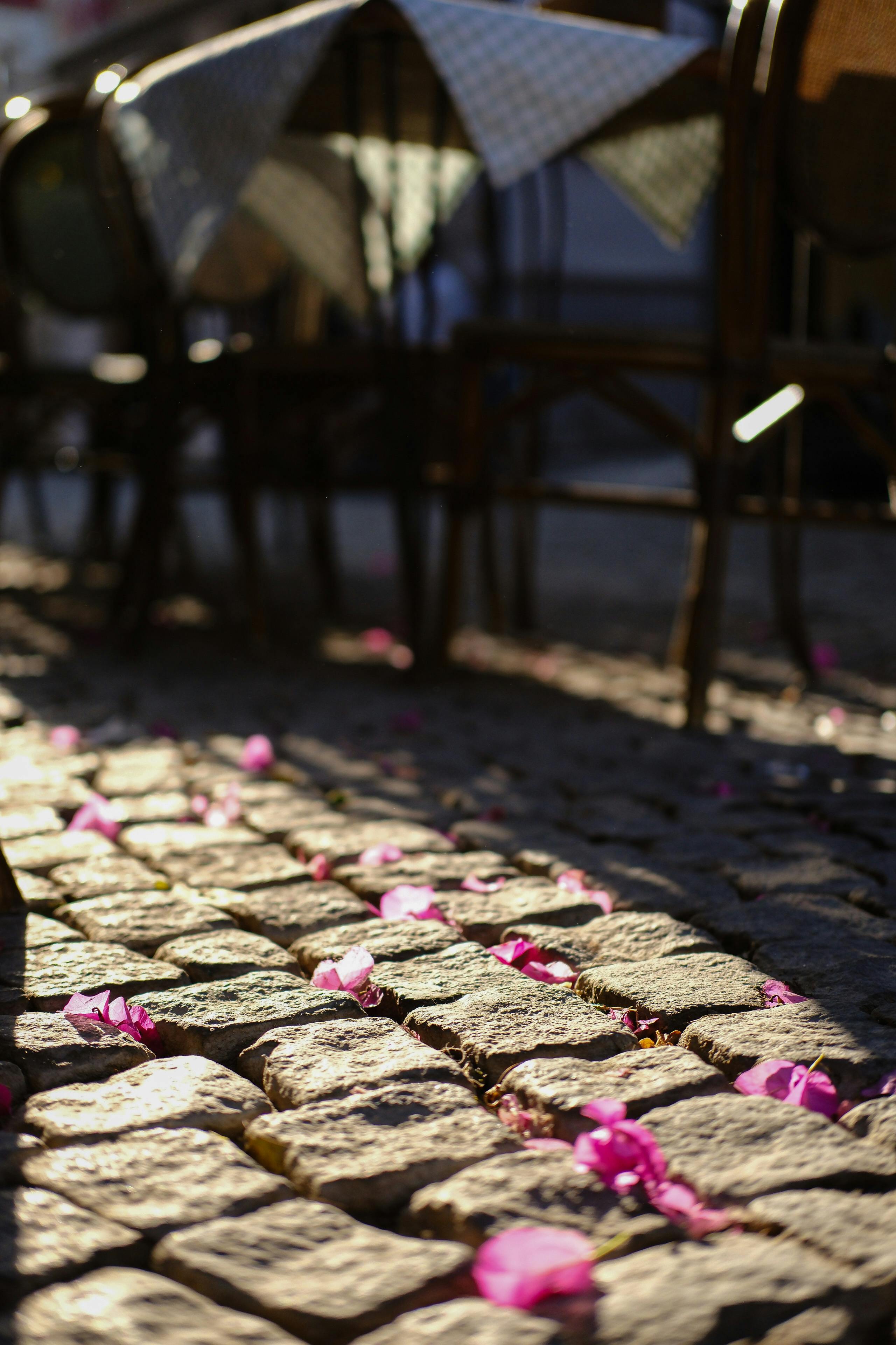 Yetti Petal Vat Photos, Download The BEST Free Yetti Petal Vat Stock