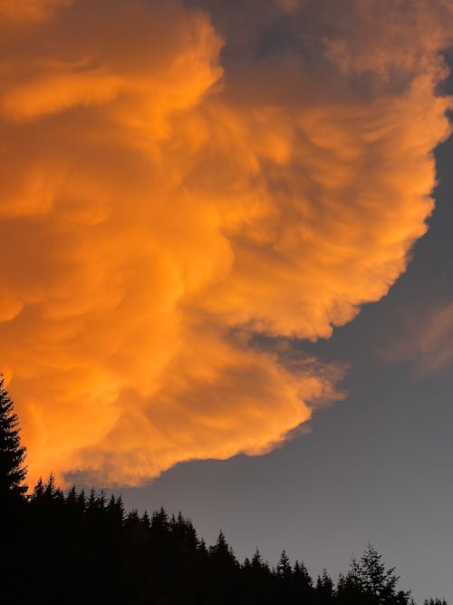 Huge Orange Cumulus Cloud Hanging over Forest