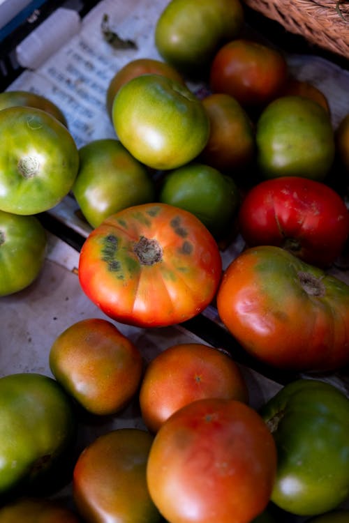 垂直拍摄, 番茄, 選擇性對焦 的 免费素材图片
