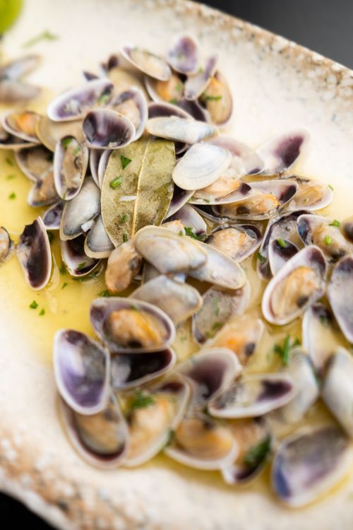 Free Close-up of cooked mussels in sauce, garnished on a ceramic plate. Perfect for food enthusiasts. Stock Photo
