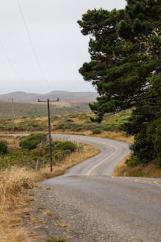 Quiet rural road winding through a scenic countryside, surrounded by trees and hills under an overcast sky.