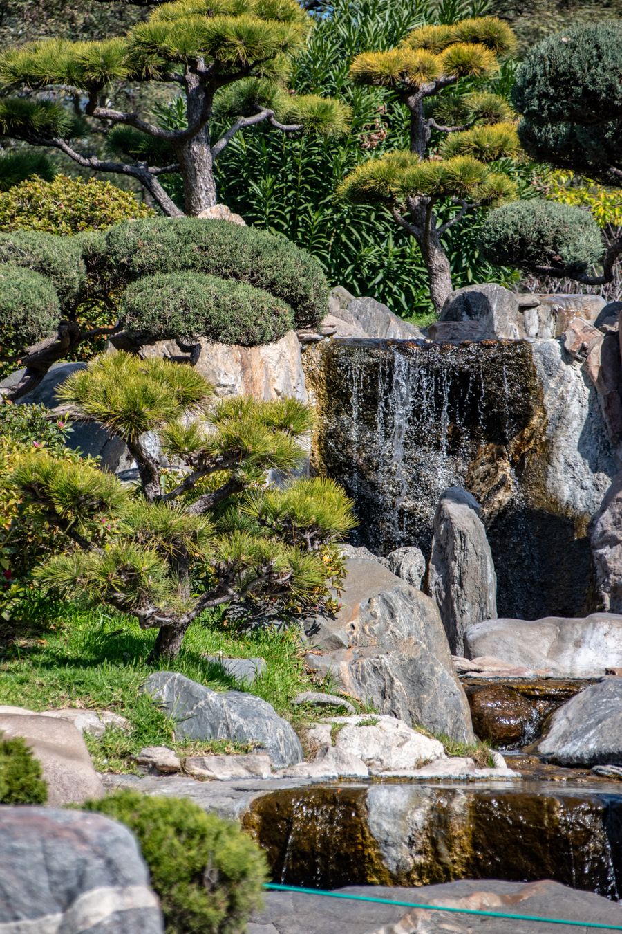 Japanse tuin met waterval, stenen en groen