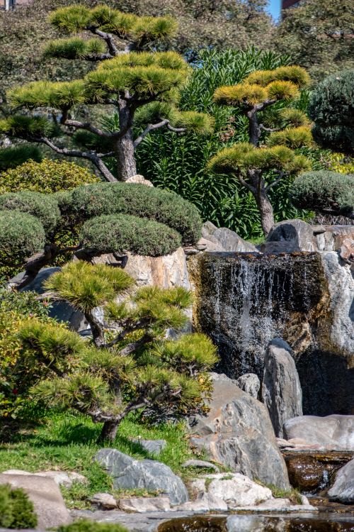 Free Tranquil view of a Japanese garden featuring a cascading waterfall surrounded by lush greenery. Stock Photo
