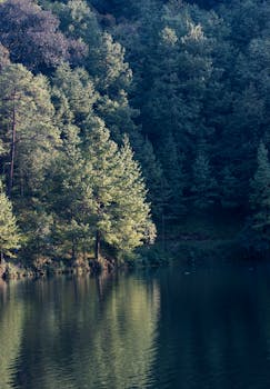 Serene forest and lake reflection landscape at Villa del Carbón, Mexico. Perfect for nature enthusiasts.