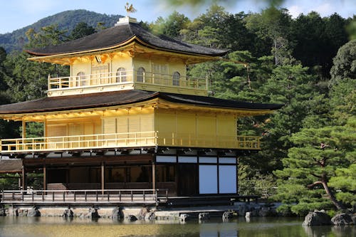 Gratuit Photos gratuites de arbres, architecture brillante, architecture de samouraï Photos