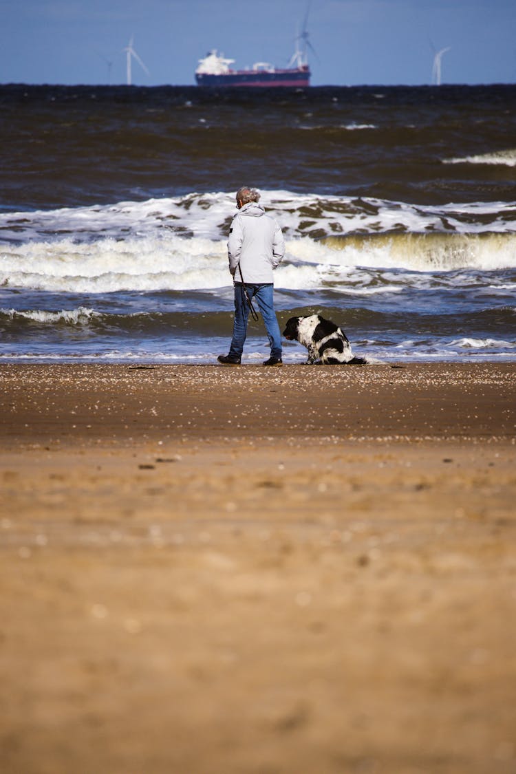 Senior Man Walking His Gog On The Beach