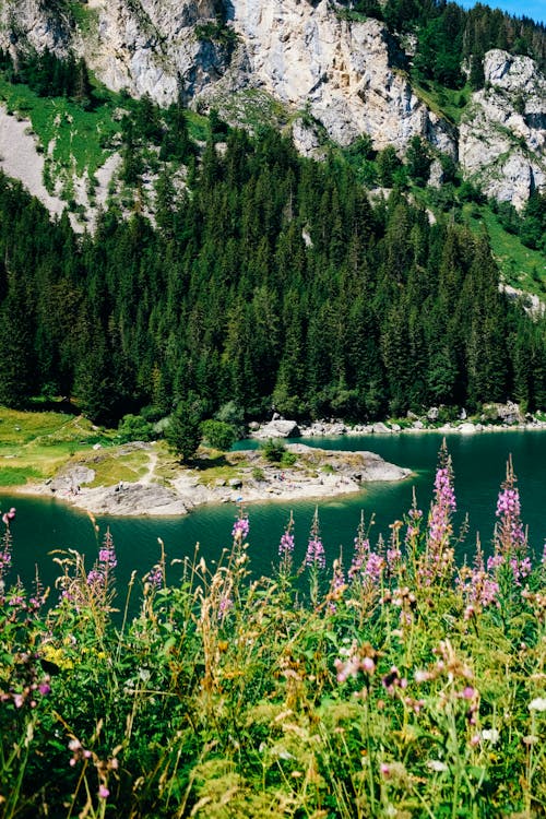 Foto profissional grátis de água, colinas, montanha