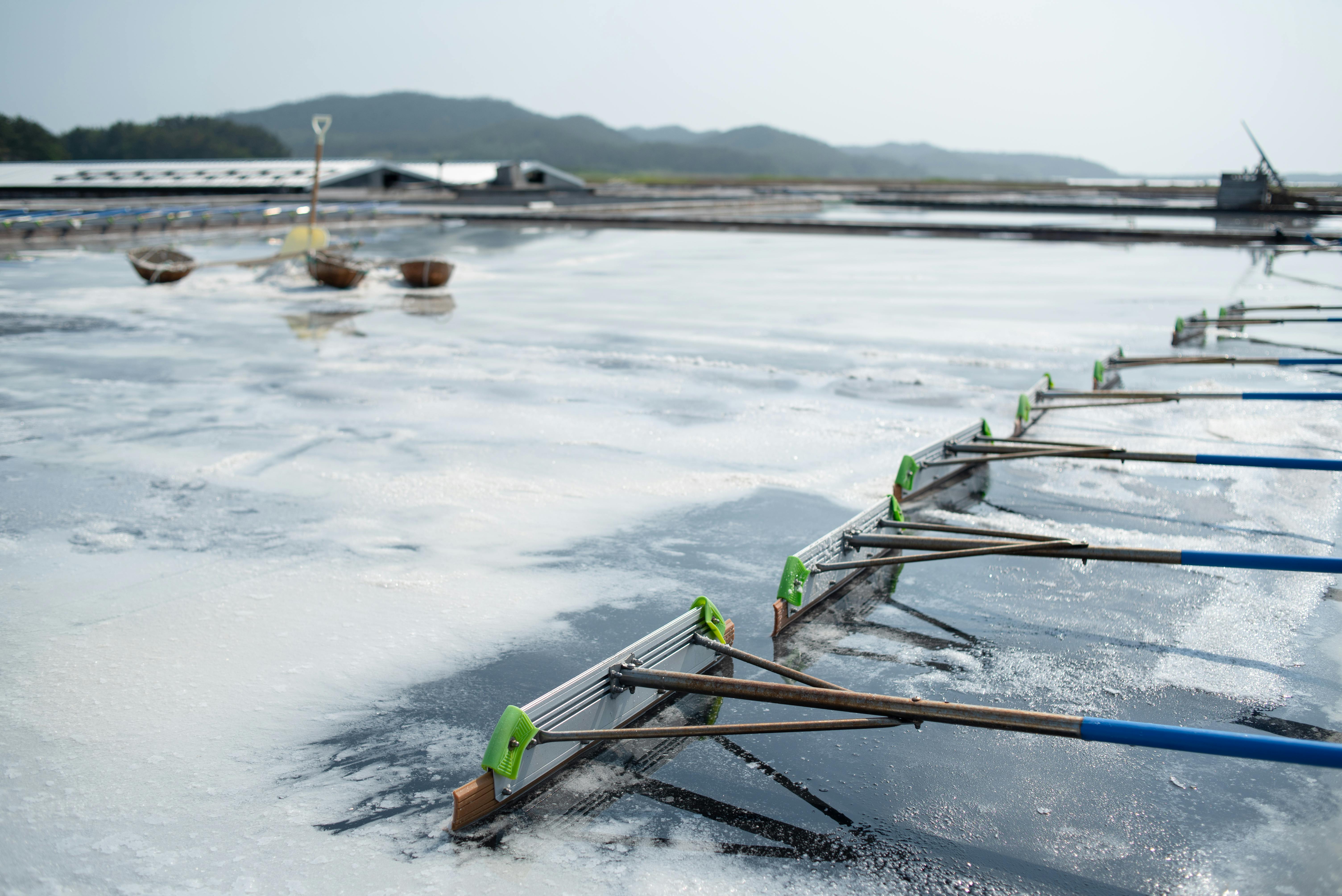 Hierarchically tracking aquaculture effluent in waters by microbial fingerprints-driven machine learning ensemble — Photo by 
