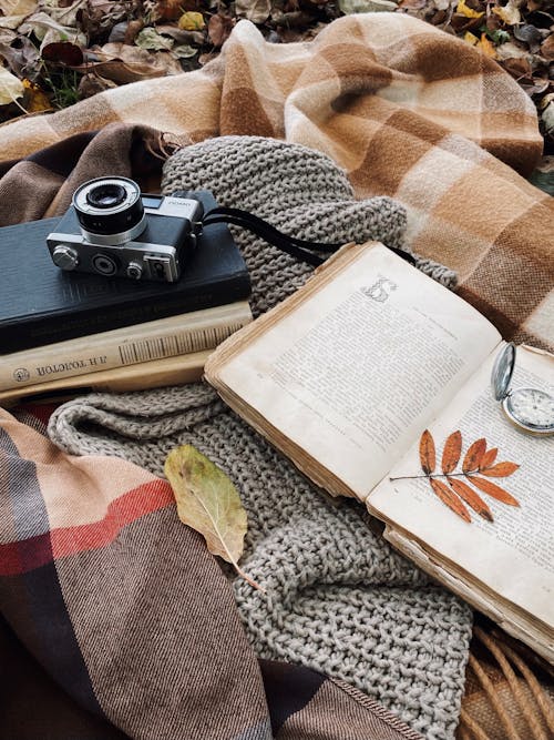 Gratis stockfoto met analoge camera, geruite dekens, herfst Stockfoto