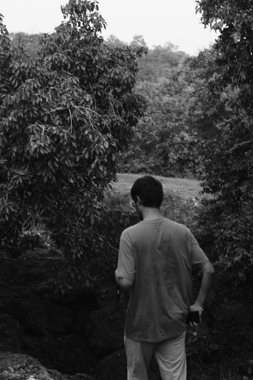 Free Black and white image of a man walking through a dense forest setting, capturing nature's essence. Stock Photo