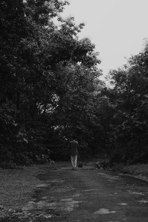 Free A lone man walks down a forest path, surrounded by trees in a serene, black and white setting. Stock Photo