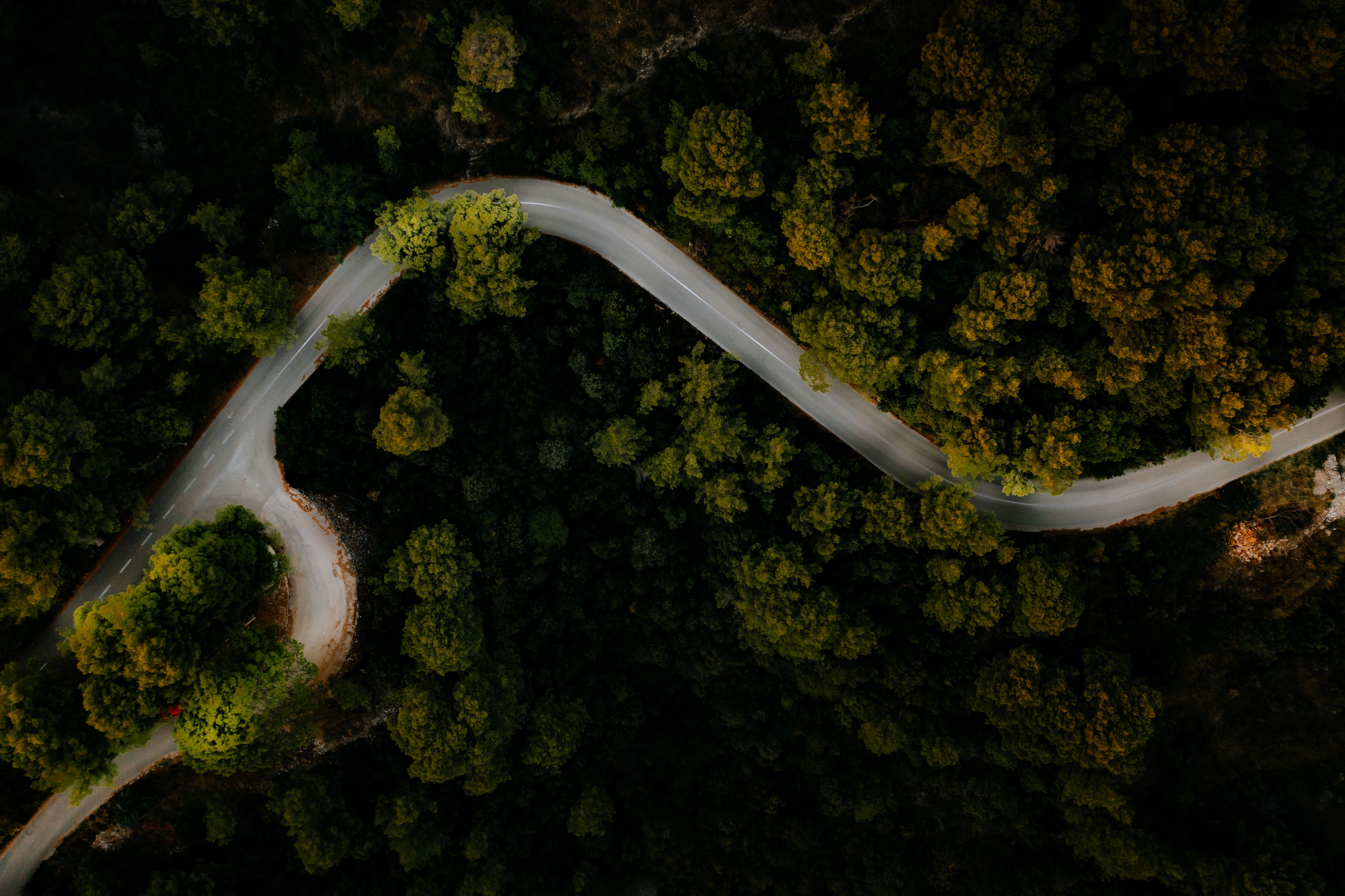 Beyond Subscriptions Navigating SaaS Pricing Models — Photo by Ivan Cujic on Pexels