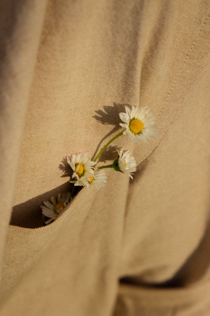 A detailed close-up of tiny daisies peeking out of a beige fabric pocket.