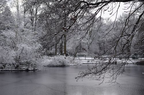 Free A tranquil winter scene featuring a snow-laden forest and frozen lake. Stock Photo