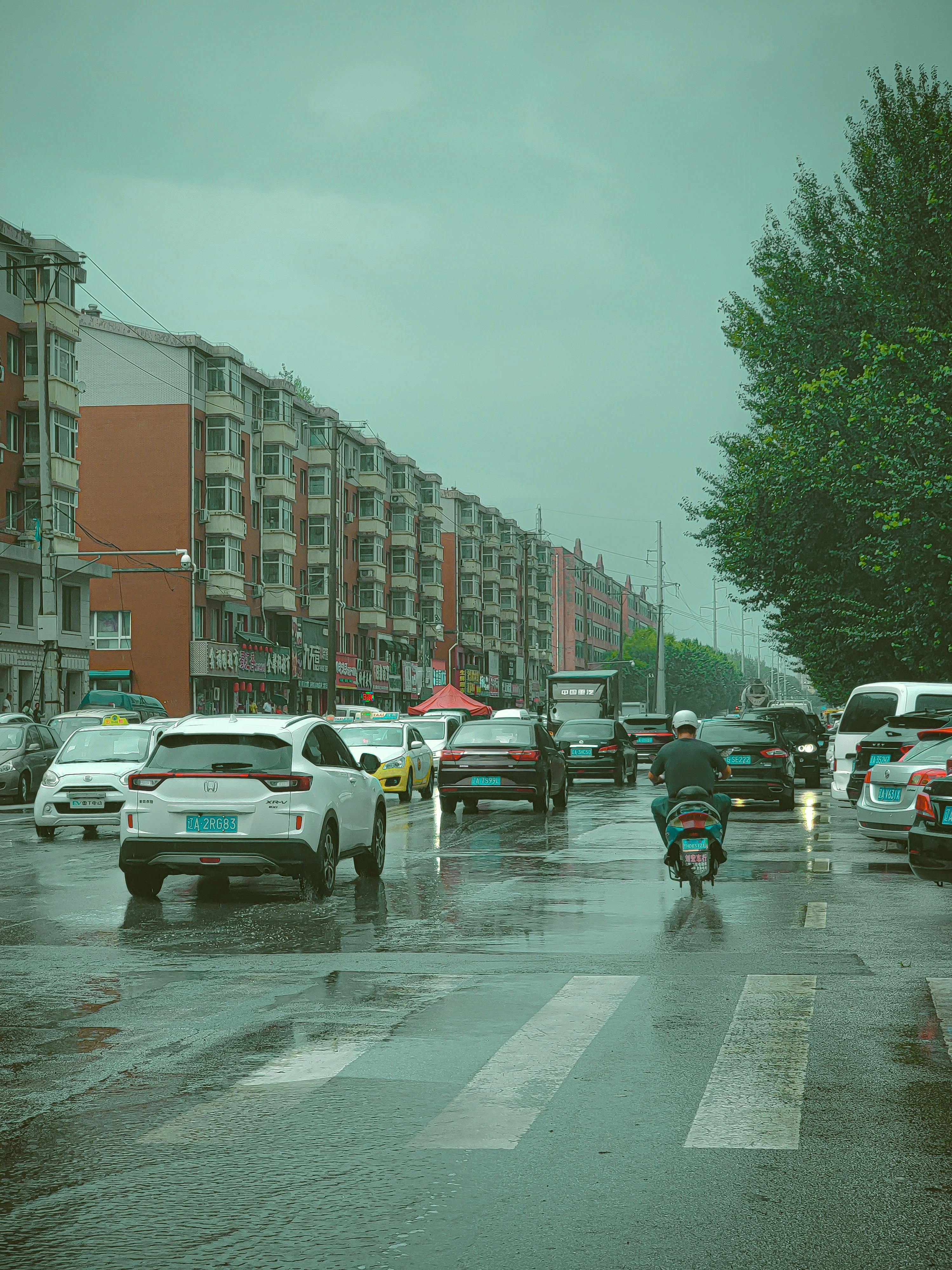 Traffic On Street In Rain · Free Stock Photo