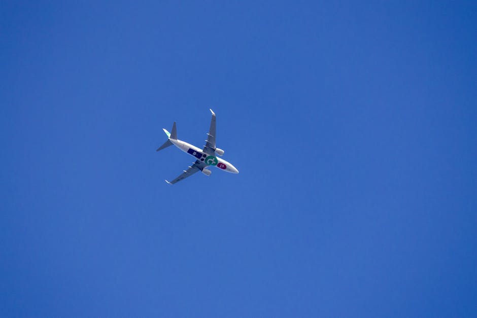 transportation management benefits